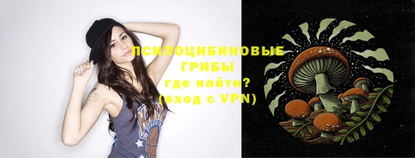 apvp Майский