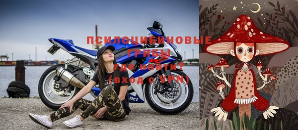 молекула духа Медногорск