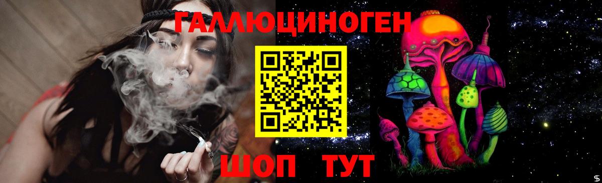 Псилоцибиновые грибы мухоморы  купить  цена  Кудрово  Вход с VPN 