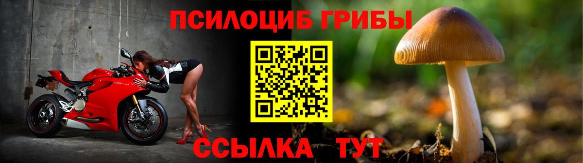 Псилоцибиновые грибы GOLDEN TEACHER Кудрово